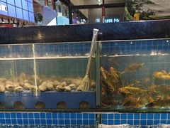 -鹿客臻鲜海鲜自助餐厅(永旺店)