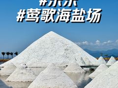 -莺歌海盐场
