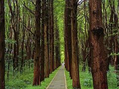 -同里国家湿地公园