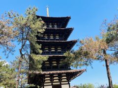 -北京世界公园