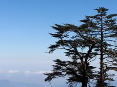 -瓦屋山景区