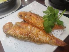 -长平肥姐白粥·海鲜打冷