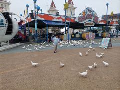 -烟台海昌鲸鲨海洋公园