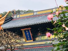 -普陀山风景名胜区-法雨禅寺