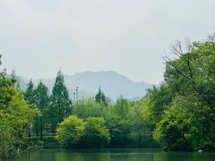 -西溪国家湿地公园