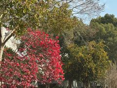 -苏州香山国际大酒店