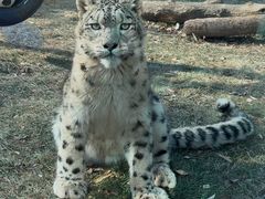-青藏高原野生动物园