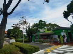 -圣淘沙天际线斜坡滑车