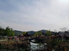 -石塘人家