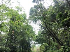-南山植物园