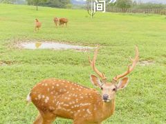 -良渚古城遗址公园