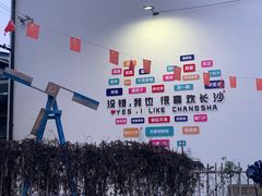 -大树小院