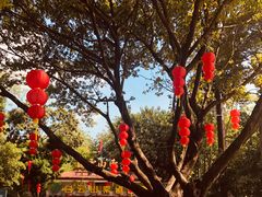 -盆满钵满·国家非遗传承(云台店)
