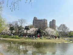 -堤角公园