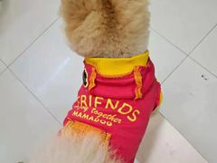 -爱侣宠医·鹦鹉专科·小型哺乳类·异宠专科(灵石路店)