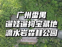 -滴水岩森林公园