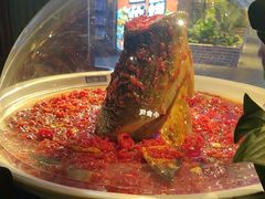 -坛宗剁椒鱼头(河西王府井店)