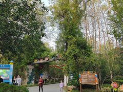 -合肥滨湖国家森林公园