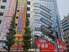 -秋叶原电器街