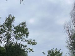 -山西王家大院