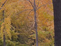 -西安市长乐公园