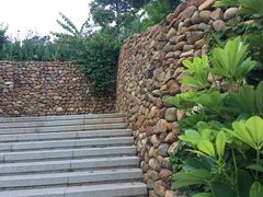 -仙岳公园