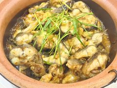 -崖口红树林海鲜餐厅