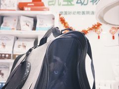 -悦宠凯宝动物医院·牙科·皮肤科(朝阳北路店)