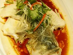 -至潮餐厅精致粤菜·活鲈鱼·走地鸡(珠江新城店)