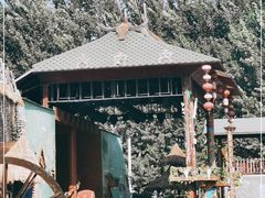 -呀路古热带植物园