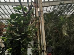 -龙达温泉生态城