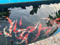 -仑头海鲜城(仑头环村南路店)