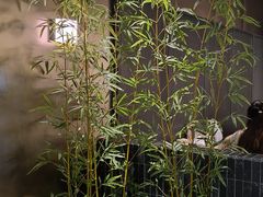 -顺香居·老字号湖北菜(江汉路店)