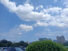 -宜家家居(高新商场店)