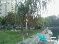 -西北湖绿化广场