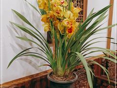 -大院河·仙鱼莊(九眼桥店)