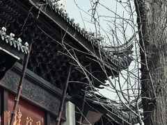 -召稼楼古镇