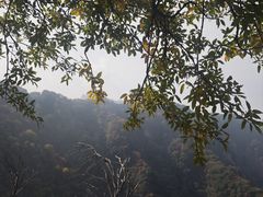 -少华山国家森林公园