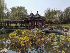 -天宁寺
