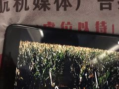 -橙天嘉禾影城(沈阳亿丰店)