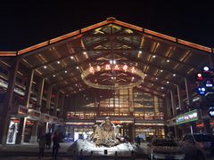 -刘老根大舞台-长春旗舰店