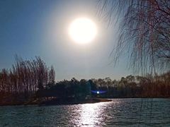 -大兴滨河森林公园