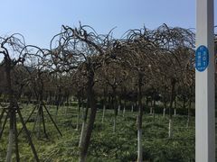 -白塘生态植物园