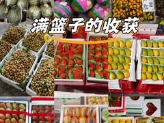 -海吉星市场