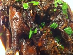 金牌炖鸭-贴阁碧(百丈东路店)