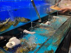 -苏格里岛自助烤肉海鲜火锅(成都金牛万达店)