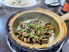 -红星光发煲仔饭(文海店)
