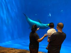 -华夏文旅海洋公园