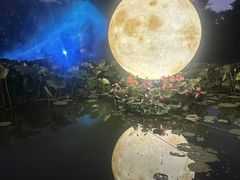 -北陵公园