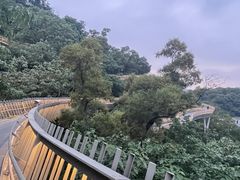 -福道